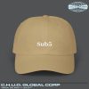 12133856435364837732_2048_custom.jpeg Sub5