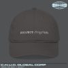 "PROJECT: TRYPTICH" Hat